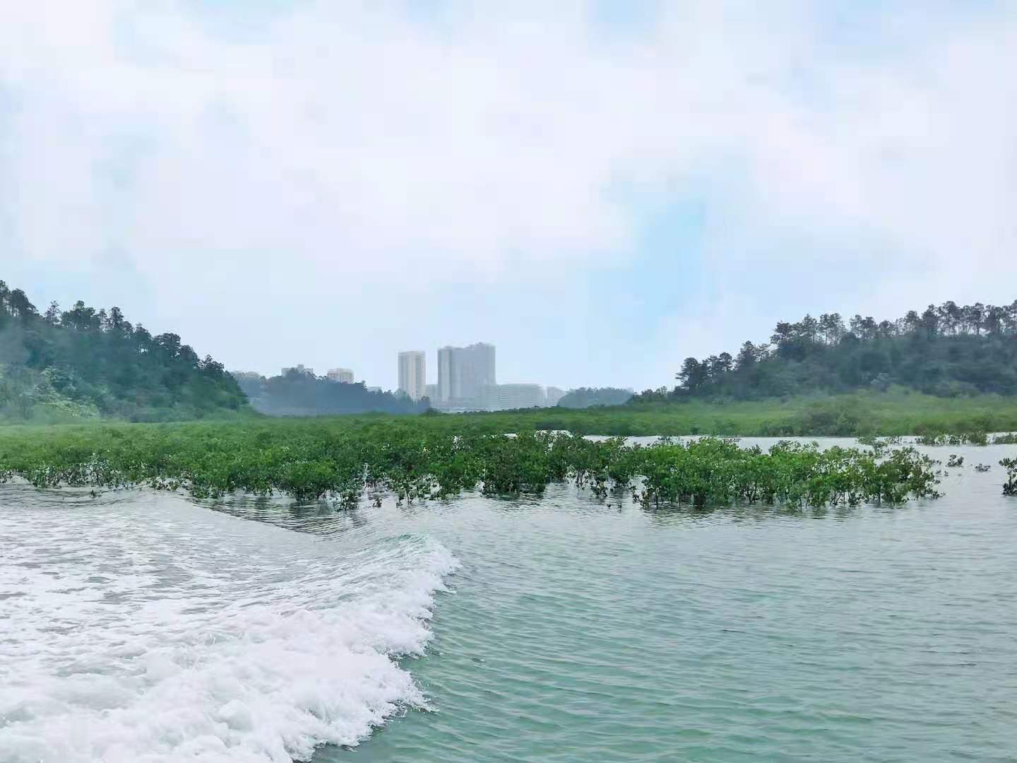 赴欽州進行考察調研活動