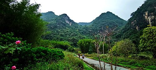 赴崇左市馱盧鎮(zhèn)蓮塘村美麗鄉(xiāng)村建設項目考察